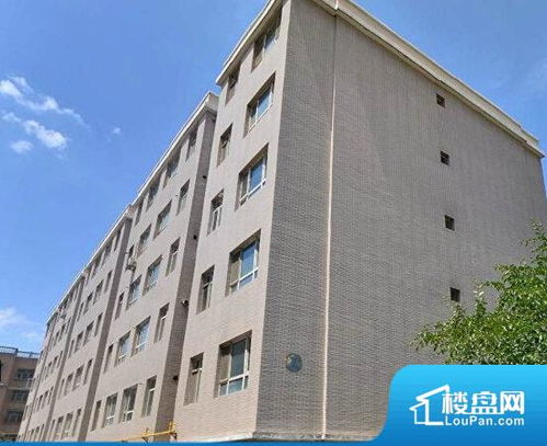 乌鲁木齐馨苑小区小区实景图 乌鲁木齐楼盘网